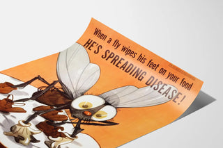 Awareness Poster Against Food Contamination by Flies