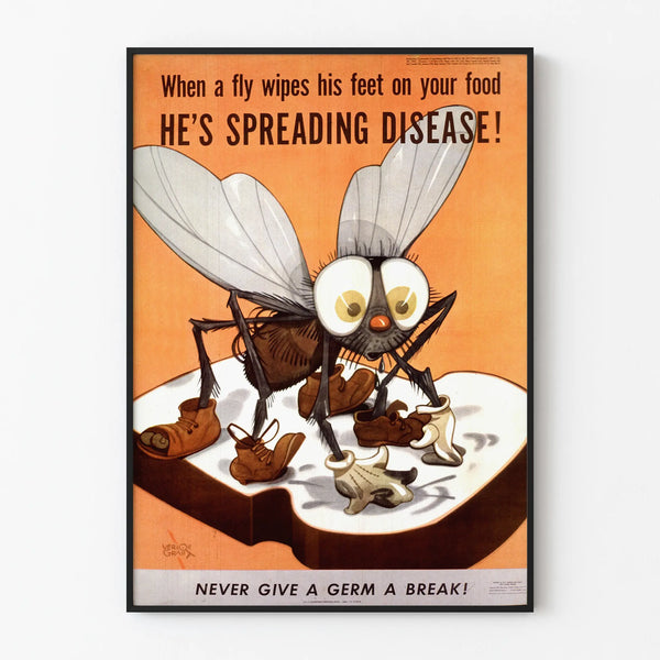 Awareness Poster Against Food Contamination by Flies
