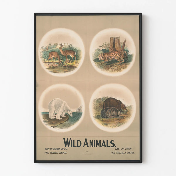 Vintage Poster of Wild Animals - Deer, Jaguar, Polar Bear, and Grizzly Bear