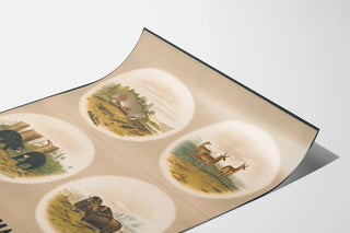 Vintage Wildlife Poster Wild Animals