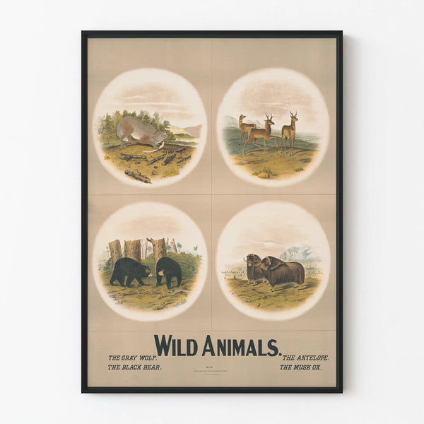 Vintage Wildlife Poster Wild Animals