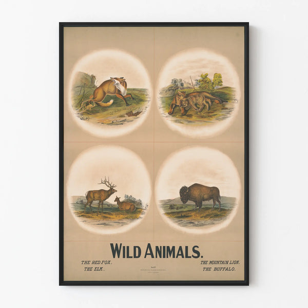 Vintage wildlife poster - fox, mountain lion, elk, and bison