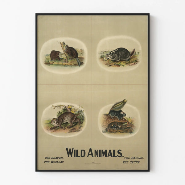 Vintage Wild Animals Poster - Beaver, Badger, Wild Cat, and Skunk