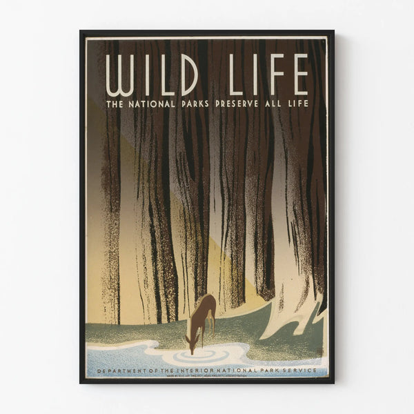 Wall Decoration Poster of Wildlife in National Parks - Wild Life