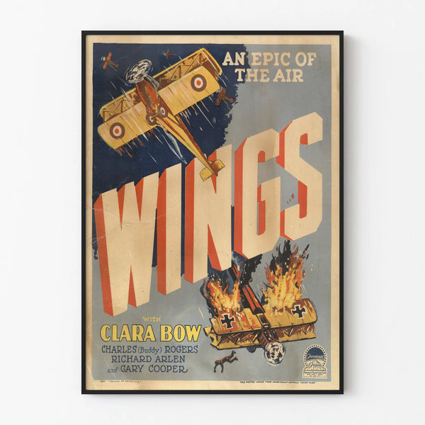 Vintage Wings Poster - Aerial Wall Decoration