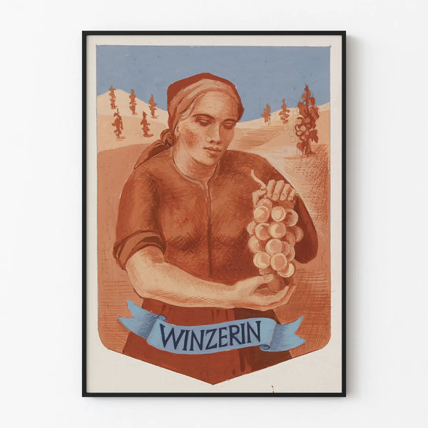 Vintage Decorative Poster of a Winemaker Harvesting Grapes