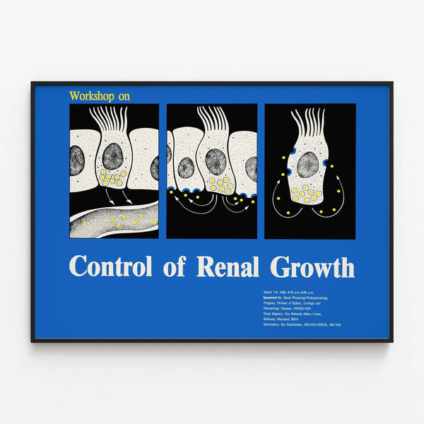 Poster Workshop for Renal Growth Control — framed artwork on a wall