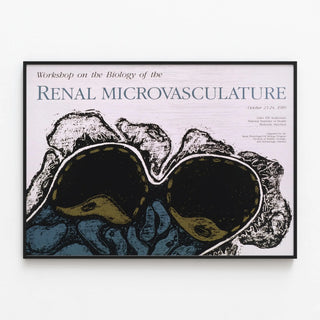Vintage scientific poster on renal microvascularization — framed artwork on a wall